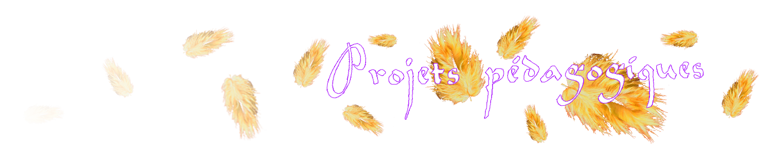 Projets
